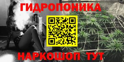 PSILOCYBIN Тулун