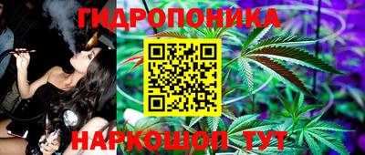 гидра Тверь