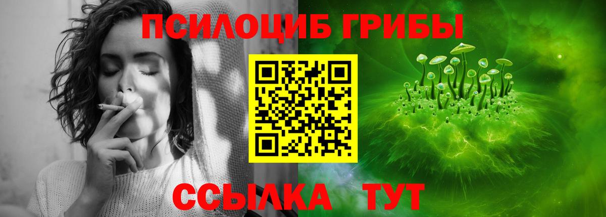 Галлюциногенные грибы GOLDEN TEACHER Удомля